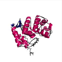 Image of CATH 1.10.569.10