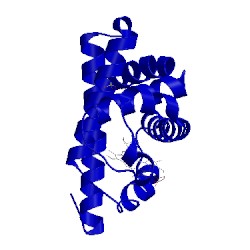 Image of CATH 107m