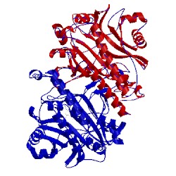 Image of CATH 12as