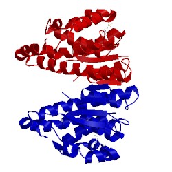 Image of CATH 14gs