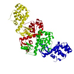 Image of CATH 150l