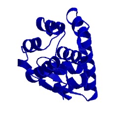Image of CATH 171l