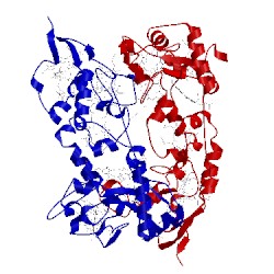 Image of CATH 19hc