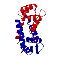 Image of CATH 1a03