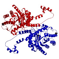 Image of CATH 1a0e