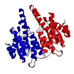 Image of CATH 1a0f