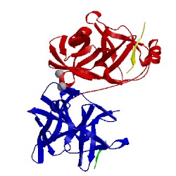 Image of CATH 1a1r