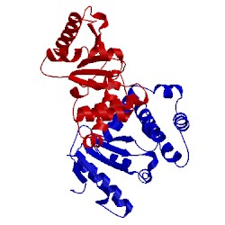 Image of CATH 1a2l