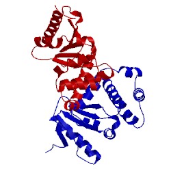 Image of CATH 1a2m