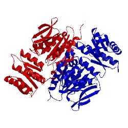 Image of CATH 1a2o