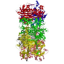 Image of CATH 1a2v