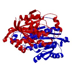 Image of CATH 1a4u