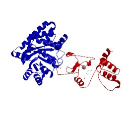 Image of CATH 1a5a