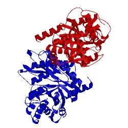 Image of CATH 1a5c