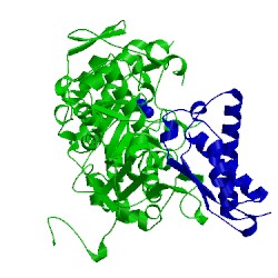 Image of CATH 1a5n