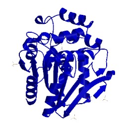 Image of CATH 1a8s