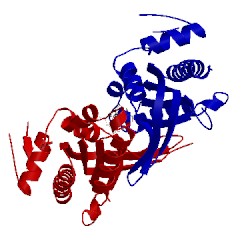 Image of CATH 1ab8