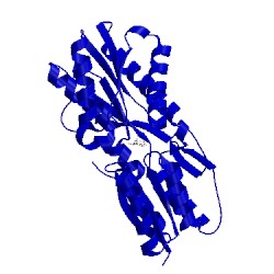 Image of CATH 1abf