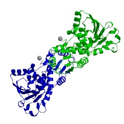 Image of CATH 1acm