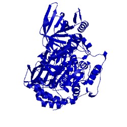 Image of CATH 1aco