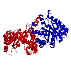 Image of CATH 1ad1