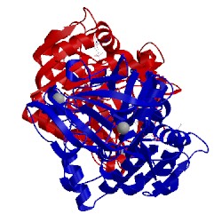 Image of CATH 1adc