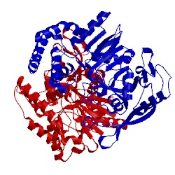 Image of CATH 1ade