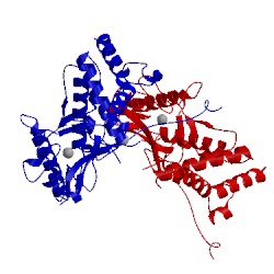 Image of CATH 1adu