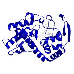 Image of CATH 1aed