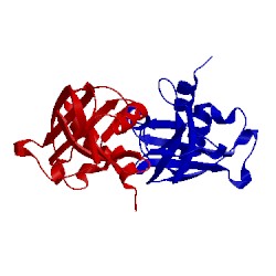 Image of CATH 1afu