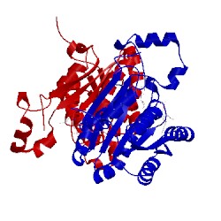 Image of CATH 1ahh