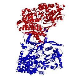 Image of CATH 1ahp