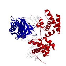 Image of CATH 1ais