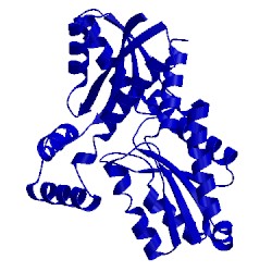 Image of CATH 1ak1