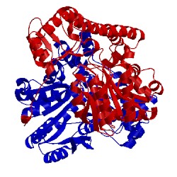 Image of CATH 1aka