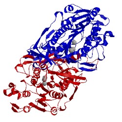 Image of CATH 1alk