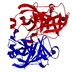 Image of CATH 1amh