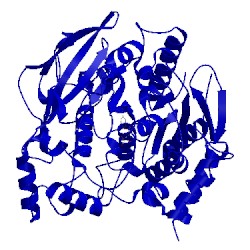 Image of CATH 1amn