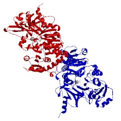 Image of CATH 1amu