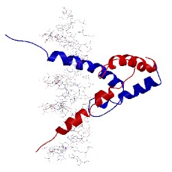 Image of CATH 1an4