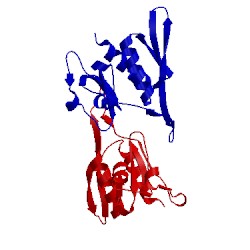 Image of CATH 1an7