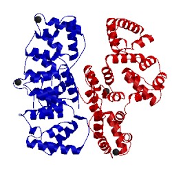 Image of CATH 1anw