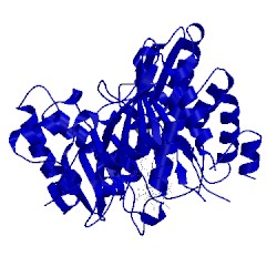 Image of CATH 1aop