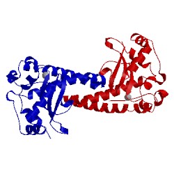 Image of CATH 1ap6