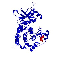 Image of CATH 1apm