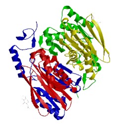 Image of CATH 1apz