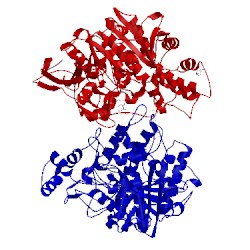 Image of CATH 1aql