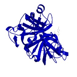 Image of CATH 1arc