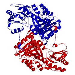 Image of CATH 1asl