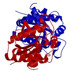 Image of CATH 1at3